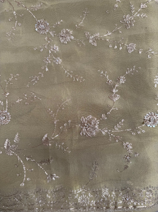 Beige pure tissue saree with sequins and pittan threadwork