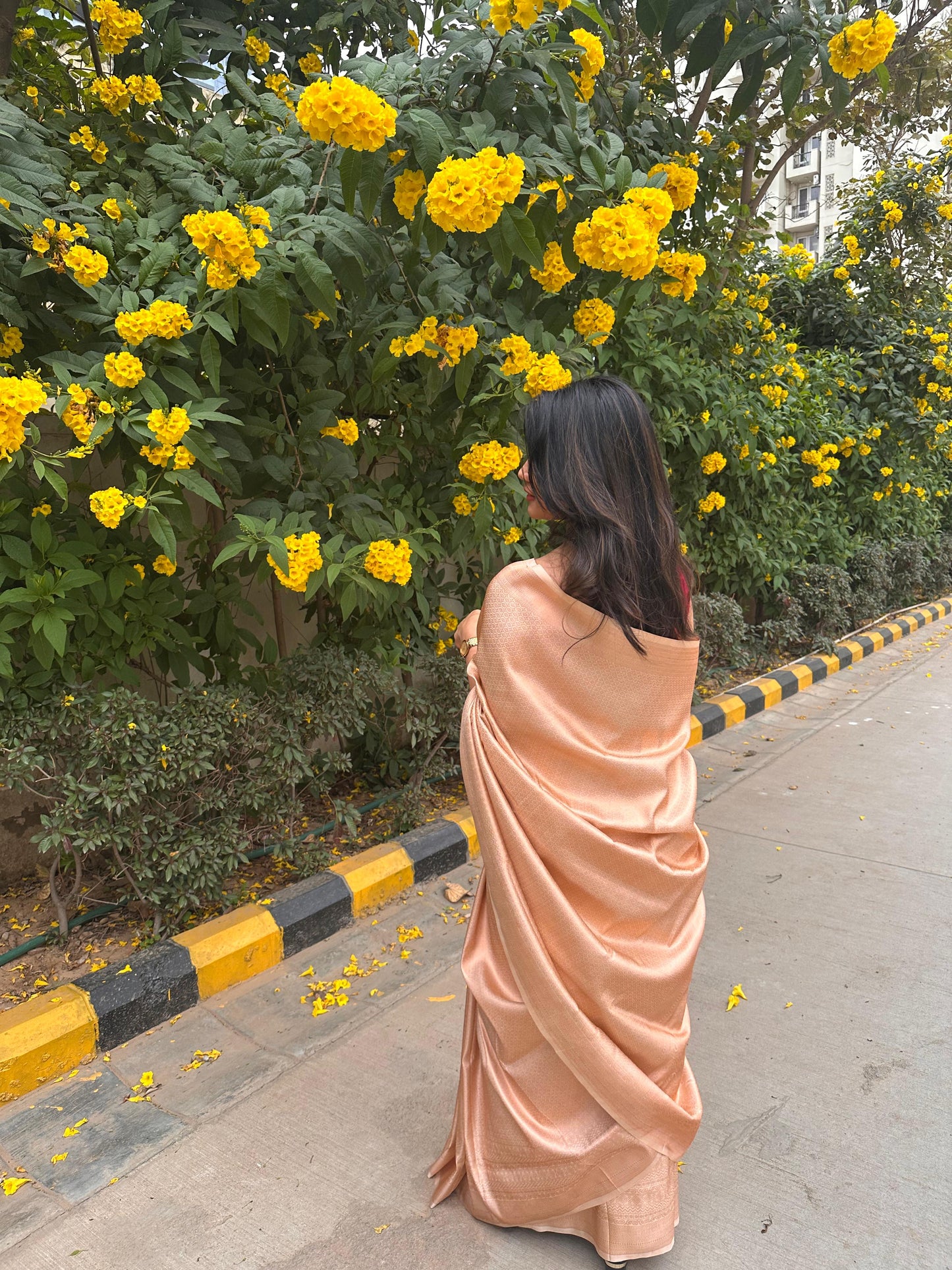 Bright cream saree with golden thread self work