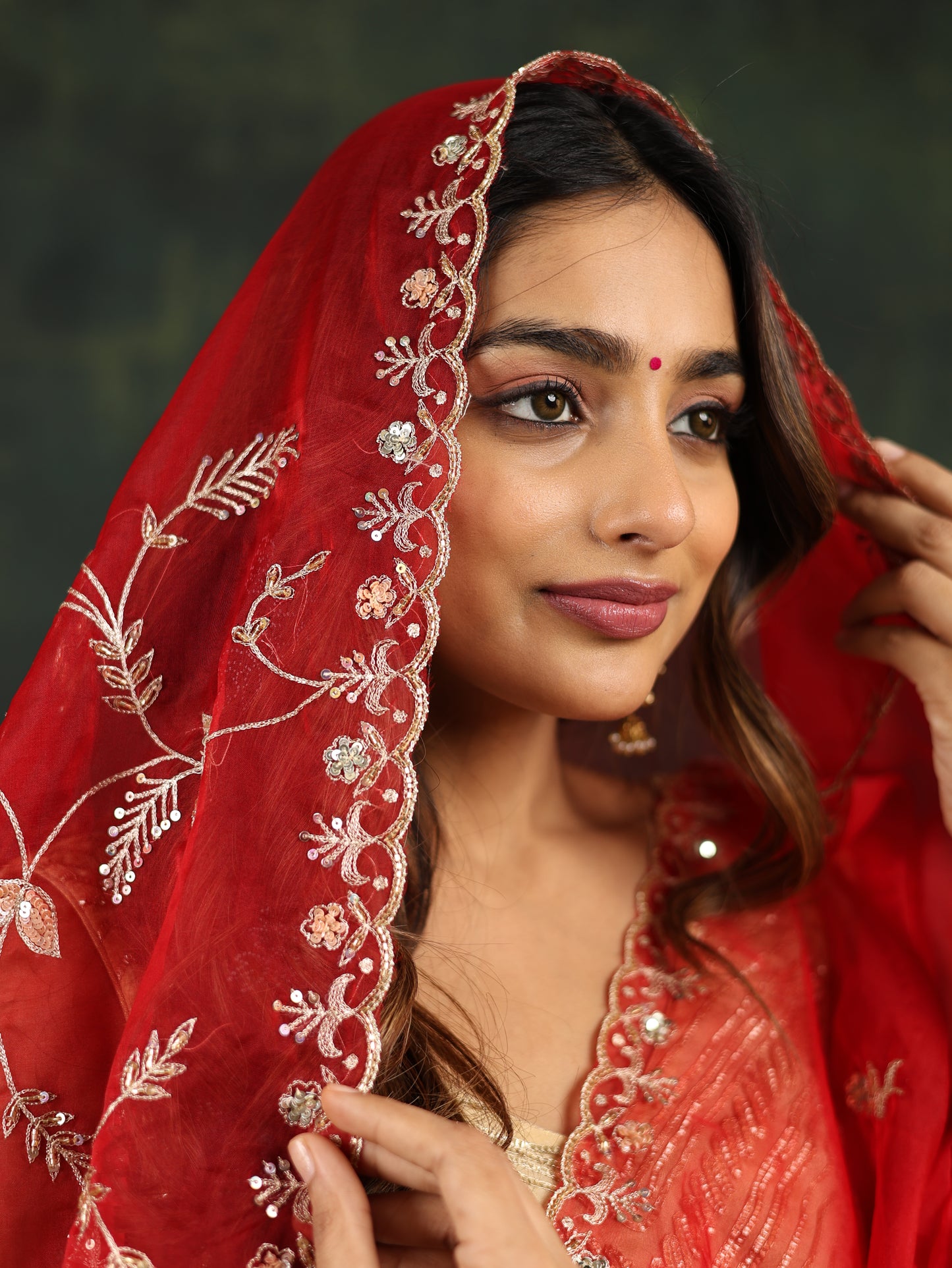 Red Organza Saree with Gotta and Ari tari work