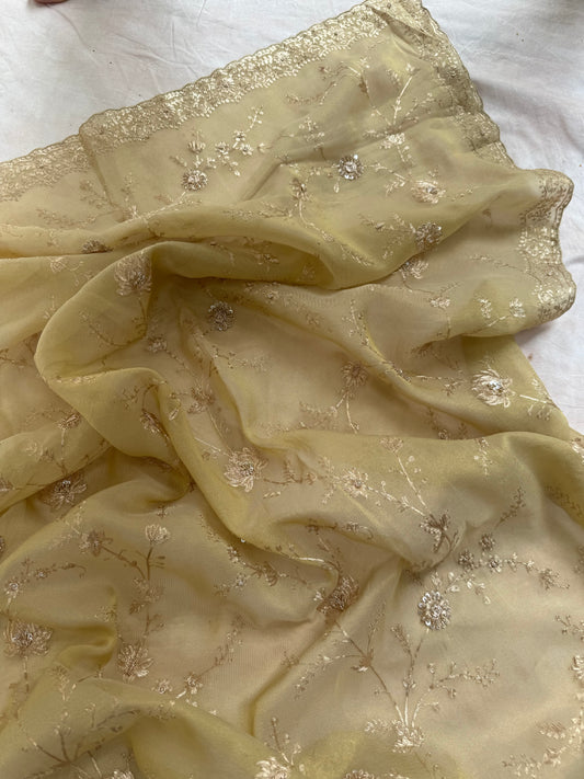 Beige pure tissue saree with sequins and pittan threadwork