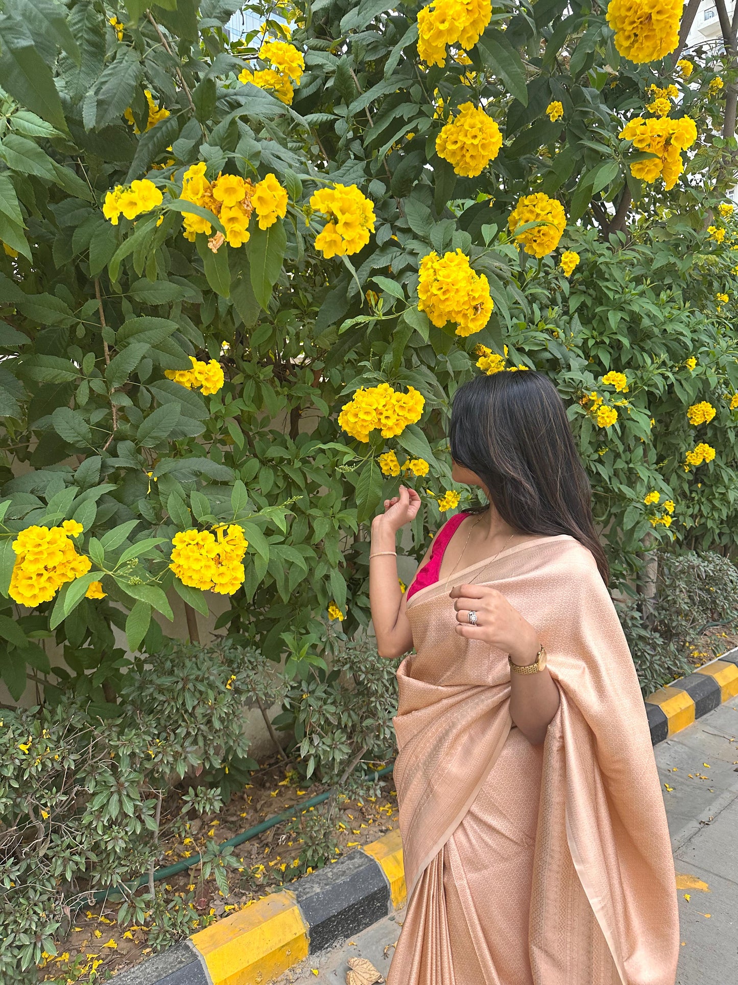 Bright cream saree with golden thread self work