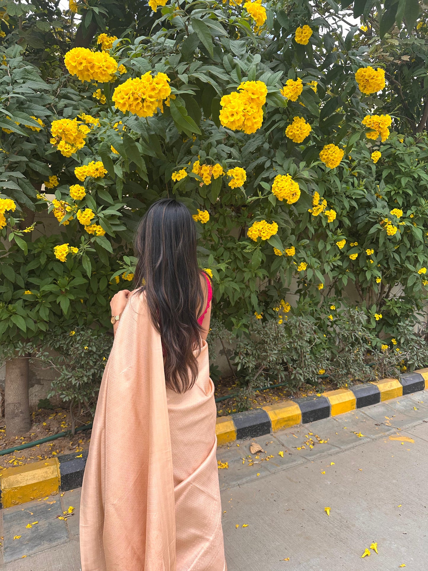 Bright cream saree with golden thread self work